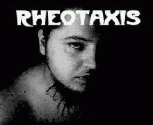 Rheotaxis